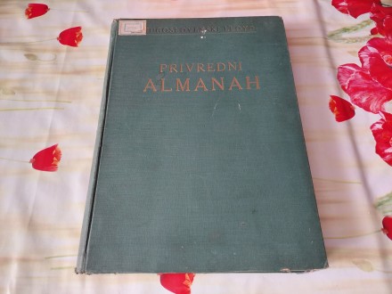 [22] PRIVREDNI ALMANAH JUGOSLOVENSKOG LLOYDA iz 1929