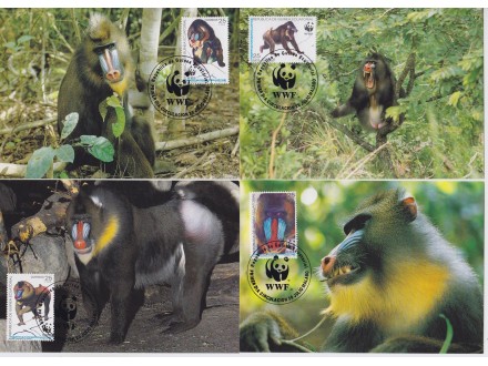 316. Ekvatorijalna Gvineja, 1991, Fauna - Majmuni, CM