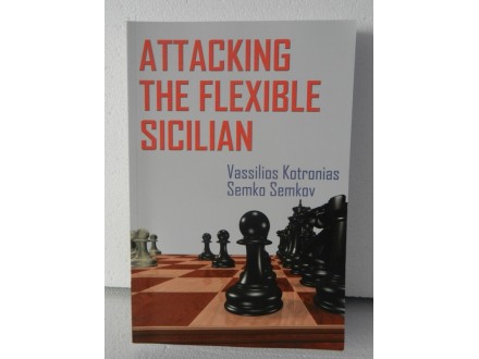 Attacking The Flexible Sicilian