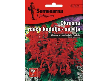 Baštensko cveće Plamena Kadulja - Žalfija - Salvia splendens 5 kesica 5174