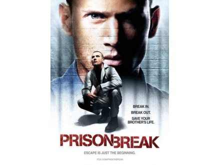 Bekstvo iz zatvora (Prison Break-Zakon Brace)