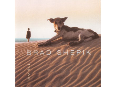 Brad Shepik - The Well