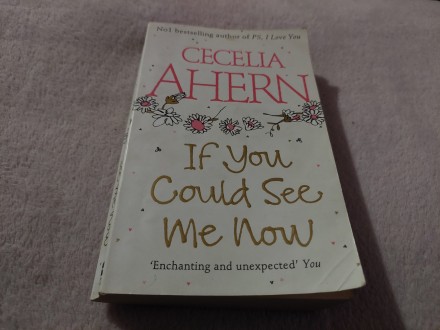 Cecelia ahern if you could see me now