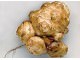 Cicoka - Americki slatki krompir 5kg slika 3