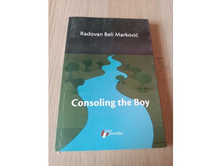 Consoling the boy -  Radovan Beli Marković