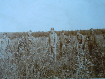 DOMOBRAN iz Grgurevaca 1917.-vojna pošta/XXVII-68/
