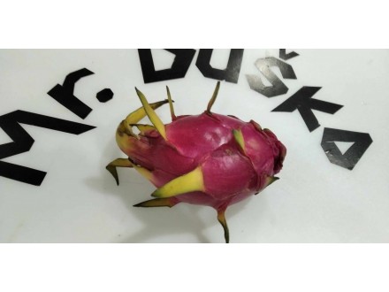 Dragon fruit (Pitaya) 50 semena