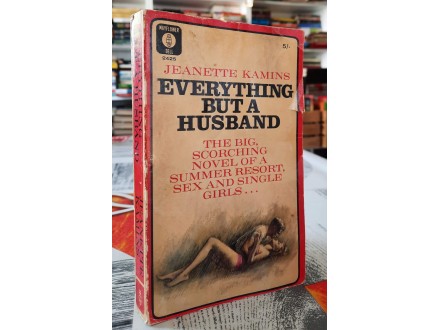 Everything but a husband - Jeanette Kamins