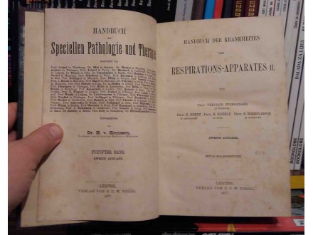 Handbuch der Krankheiten des Respirations-Apparates II
