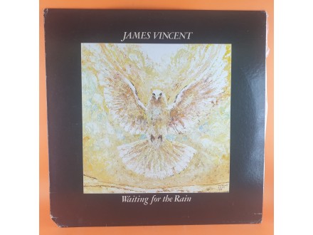 James Vincent ‎– Waiting For The Rain, LP, US