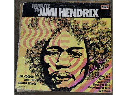 Jeff Cooper And Stoned Wings - Tribute To Jimi Hendrix