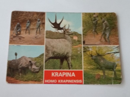 Krapina - Homo Krapinensis - Hrvatska - Čista -