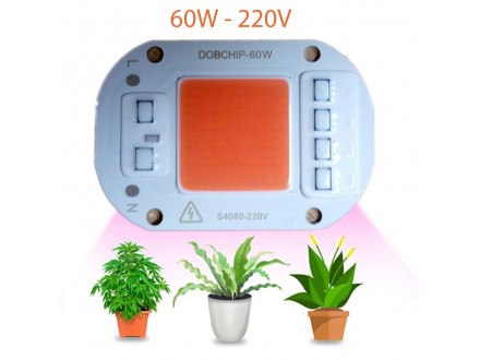 LED CHIP 60W za uzgoj biljaka u zatvorenom prostoru