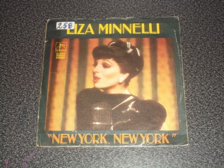 Liza Minnelli - New York, New York