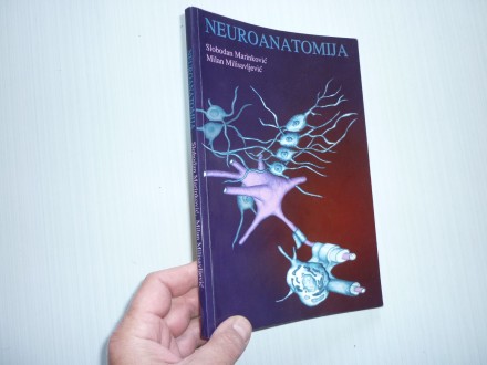 Neuroanatomija