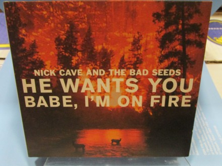 Nick Cave and ... - He Wants You * Babe, I`m On Fire