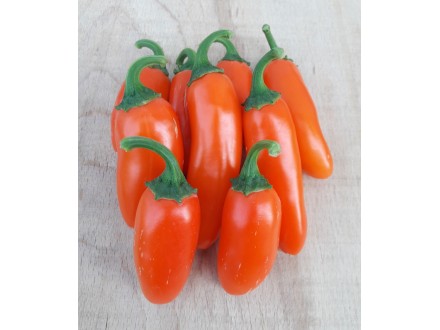 NuMex Orange Spice - Chili pepper 20 semenki