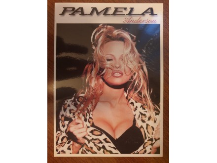 Pamela Anderson lot od 9 Razglednica
