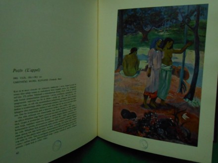 Pol Gogen,Male monografije slavnih slikara