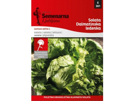 Seme - Zelena salata dalmatinska ledenka -  Lactuca sativa L. 361