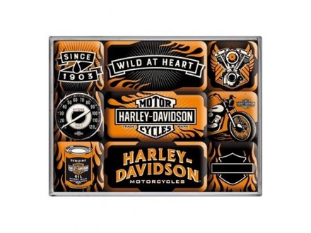 Set magneta, Harley-Davidson Wild - Nostalgic Art