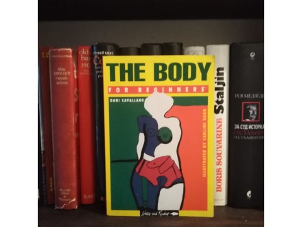THE Body for Beginners