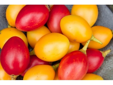 Tamarillo ZUTI Drvo paradajz - Tamarilo Solanum betaceu