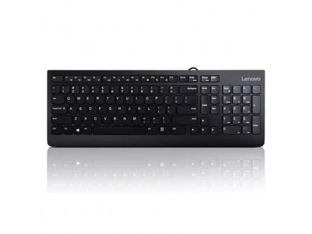 Tastatura LENOVO 300 USB/US/103P/crna