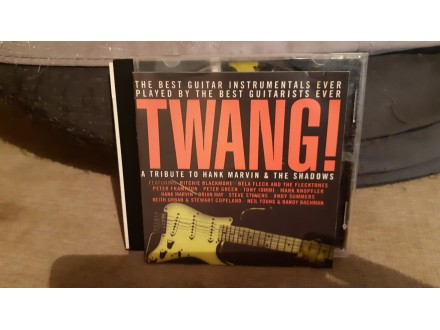 Twang! A tribute to Hank Marvin and The Shadows