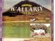 Various  Artists - K` Allaria J`Allalla Bolivia Vol. 2 slika 3
