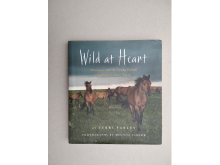 Wild at Heart: Mustangs and the Young People Fighting t