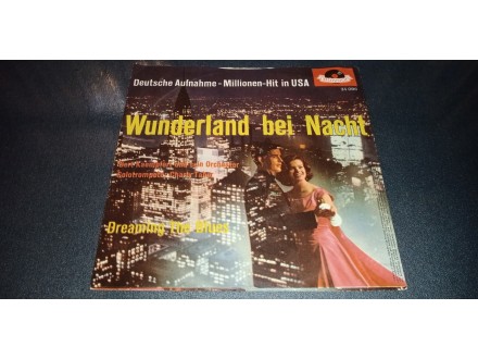 Wunderland bei Nacht-Dreaming the blues