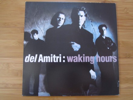 del Amitri: waking hours