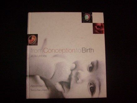 from Conception to Birth: a Life Unfolds