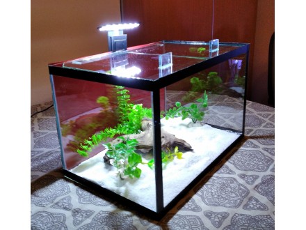 hauba-LED svetlo 3W za akvarijum