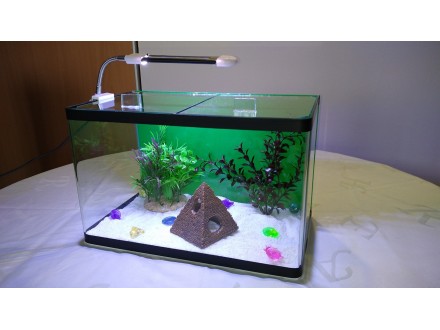 hauba-LED svetlo 6W za akvarijum