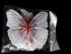 3D Leptiri sa duplim krilima slika 2
