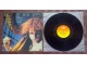 ANDREAS VOLLENWEIDER - Down To The Moon (LP)Made Greece slika 2