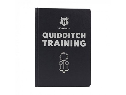 Agenda A5 - HP, Quiddich - Harry Potter