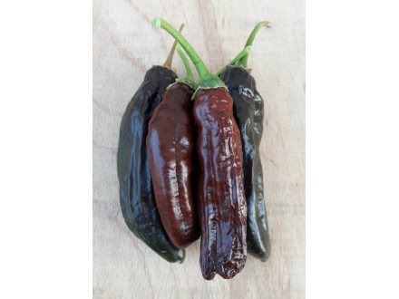 Aji Panca Lima - Chili pepper 20 semenki
