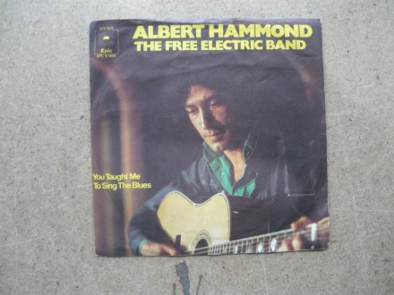 Albert Hammond - You Taught Me To Sing The Blues