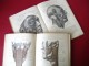 Anatomski atlas Toldt 1934 god slika 1