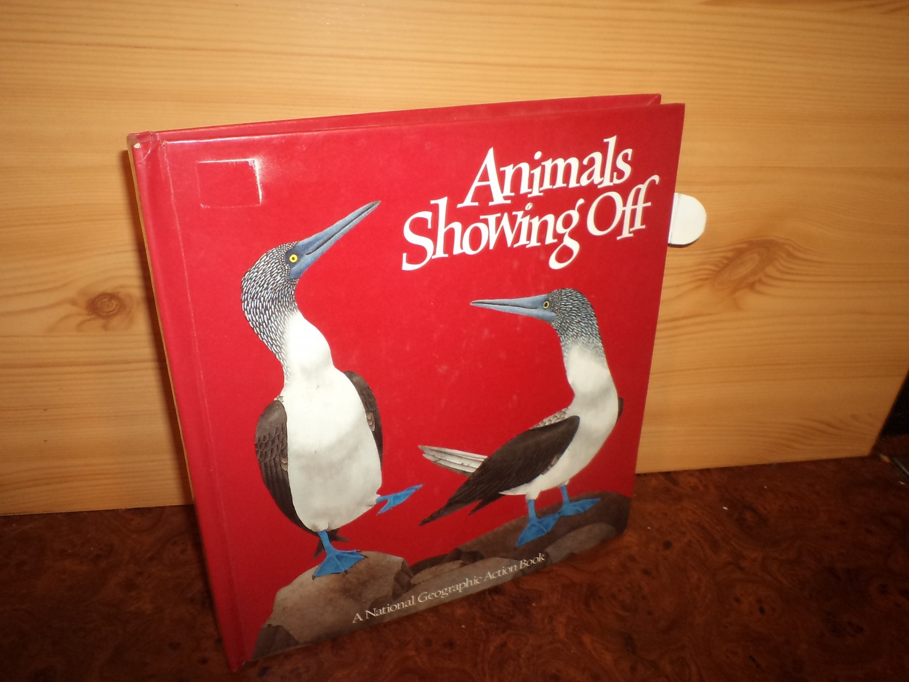 Animals Showing Off (A Pop-Up Book)  (73396905)