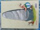 Asteriks knjiga 3, epizode 7-9 Gosini slika 2
