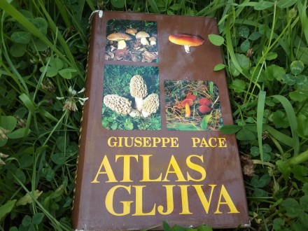 Atlas Gljiva - Giuseppe Pace