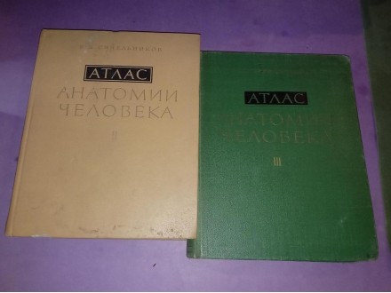 Atlas anatomii celoveka II - III R.D.Sineljnikov