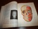 Atlas of Human Anatomy - Lopez, Antunez slika 3