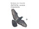 Autista i golub pismonoša - Rodan Al Galidi slika 1