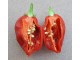 Avenir - Chili pepper 20 semenki slika 3