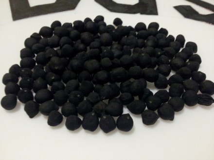 Avganistanski crni naut 60 semena